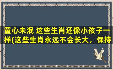 童心未泯 这些生肖还像小孩子一样(这些生肖永远不会长大，保持童心未泯)